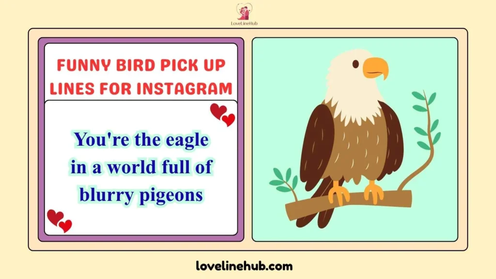 Funny Bird Pick Up Lines for Instagram
