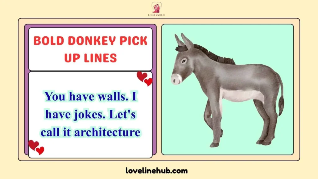 Bold Donkey Pick Up Lines