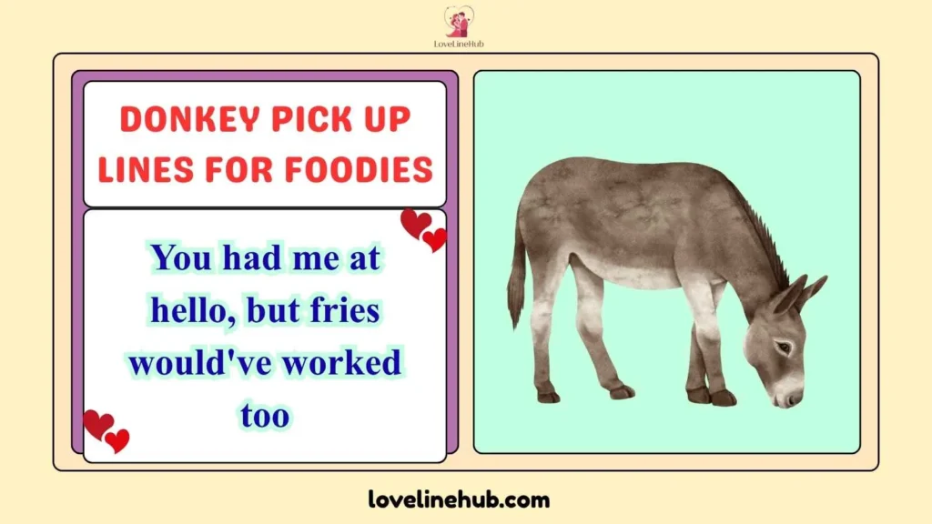 Donkey Pick Up Lines for Foodies