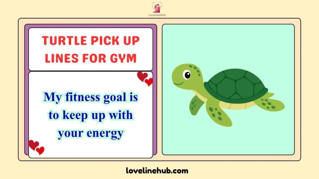 Turtle Pick Up Lines for Gym