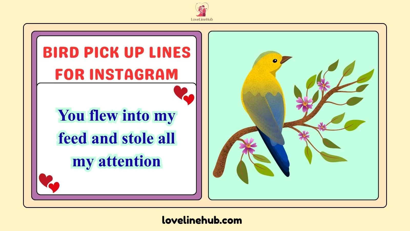 bird pick up lines for instagram