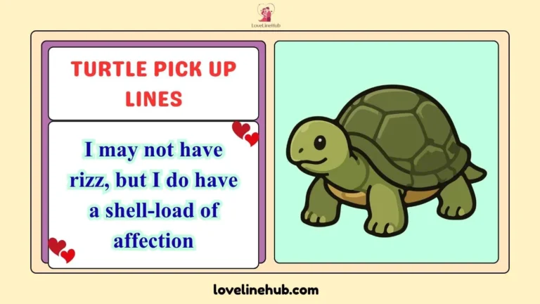 turtle pick up lines